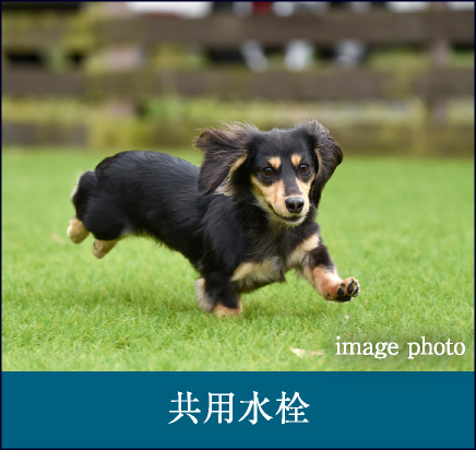 共用水栓